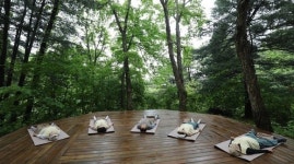 당진 삼선산수목원, 산림치유 프로그램 운영