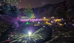 공주시 공산성 미디어아트 백제의 夢(몽), 웅진 백제로의 시간여행 개막