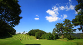 [골프홀릭] 골프존·월송리CC·파인비치·카카오VX·XGOLF·데상트골프 외