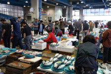 포항 죽도시장 추석 대목장 북새통