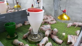 최재구 예산군수 민선8기 축산악취 개선 위해 총력