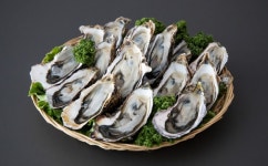 수협쇼핑 온라인 굴축제-수협쇼핑에 반햇굴 통영산 생굴 반값 행사