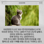 [카드] 진시스템子 케어벳, 고양이 위장염 4종 진단키트 허가