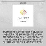 [카드] 진시스템子 케어벳, 고양이 위장염 4종 진단키트 허가