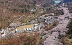 월아산 숲속의 진주 숲의 가치 담은 보물