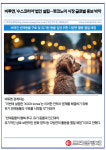 [카드] 비투엔, 수스코리아 법인 설립…펫코노미 시장 글로벌 홍보 박차
