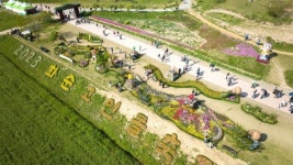 화순으로 봄소풍 가자… 고인돌 봄꽃 축제 19일 개막