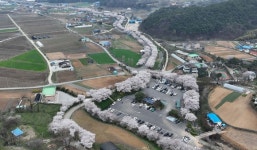 [포토] 홍성군, 오서산 벚꽃길 버스킹 공연 개최