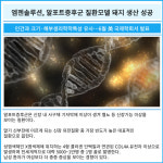 [카드] 엠젠솔루션, 알포트증후군 질환모델 돼지 생산