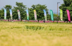 함안군, 제2회 칠서 생태공원 청보리·작약 축제 10일 개최