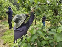 영덕군 물관리사업소·에코비트워터, 농촌봉사활동 구슬땀