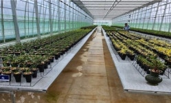 화순군, 청년농 창업지원 등 맞춤형 진흥사업 확대 추진