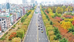 산림청 2024년 우수 관리 가로수길 6개소 선정