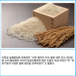 [카드] 농협, 8개 동반사와 쌀 소비촉진 MOU 체결