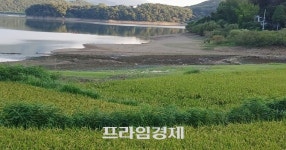 보령시 청천호 둘레길 바닥 드러나며 수위 급격히 하락