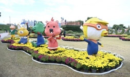 '230만 송이 국화의 향연' 홍성군 제23회 홍성사랑국화축제 개최