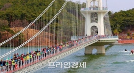 예당호 꿈의 출렁다리, 아찔한 스릴 속 자연의 아름다움을 만나다