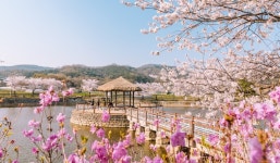 소비하고 돌려받는 여행! 당진시, 2025년 개별 관광객 인센티브 지원 시행