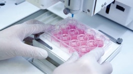 [특징주] 로킷헬스케어, 식약처 동물대체시험법 국제 표준 됐다…美 FDA 해결책 대체피부 모델 부각