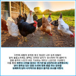 [카드] 하나은행, 돈나와라 머니클락 증정 이벤트