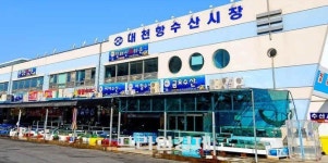 보령 해수욕장 여행 가이드…머드·바다·맛, 모두 잡았다!