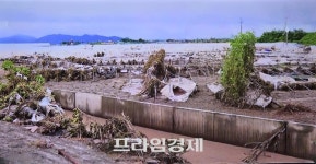 충남 예산 하포리 삽교천 범람 침수피해…"40년 만에 처음 겪는 물난리" 주민 긴급 대피