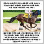 [카드] 마사회, 농촌체험휴양마을 말테마 사업 개시