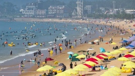 여름엔 역시 태안! 태안 해수욕장, 올해 160만명 최다 방문…만리포 13% 증가