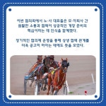 [카드] 한국마사회·시설관리, 영천경마공원 운영체계 구축