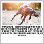 [카드] 마사회·농식품부, 학생승마 체험 지원 확대