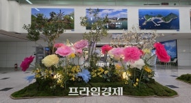 [포토] 시청 로비가 꽃정원으로…보령시청, 봄꽃으로 물들다