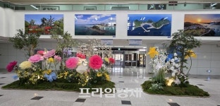 [포토] 시청 로비가 꽃정원으로…보령시청, 봄꽃으로 물들다