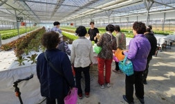 당진 첫 성과…정미면 돌봄나눔 네트워크, 충남형 사회적농업 선정