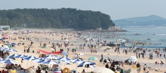 입욕시간 앞당기고 안전인력 확대…충남 보령, 여름 해수욕장 운영체계 전면 강화