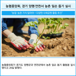 [카드] 농협중앙회, 경기 양평·연천서 농촌 일손 돕기 실시