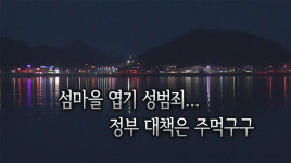 섬마을 엽기 성범죄...정부 대책은 주먹구구