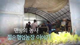 맨땅의 농사  젊은협업농장 이야기