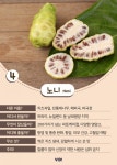 아이엠슈퍼푸드 자기소개하기! – 차세대 슈퍼푸드 가이드