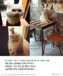 심신이 지친 이들에게 추천하는 ‘힐링’ 카페 5