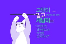도도한 고양이? 출구 없는 개냥이의 세계