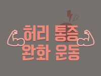직장인의 고질병 허리통증, 홈 트레이닝으로 극복하기
