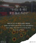 삭막한 도시를 아름다운 정원으로 바꿀 수 있는 ‘게릴라 가드닝’
