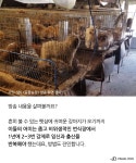 ‘동물농장’, 강아지공장 보도에 누리꾼 ‘분노’…서명운동 확산