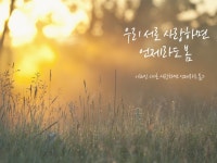 우리 서로 사랑하면 언제라도 봄