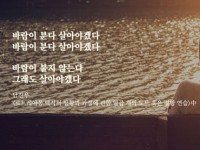 바람이 분다 살아야겠다