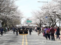 2016 여의도 봄꽃축제, 4일부터 10일까지 진행