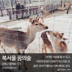 봄나들이 떠나자! 서울 도심 공원 BEST