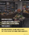 ‘사장 아닌 막내가 면접을?’ 러쉬의 특별한 채용 방식 ‘눈길’