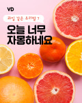 “오늘 너무 자몽하네요” 과일 같은 우리말 7