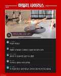 하라는 운동은 안하고 주접떠는 한국인 댓글